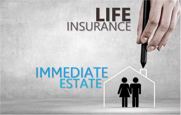 Get your immediate estate with life insurance