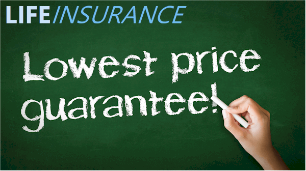 Find best rates for life insurance online
