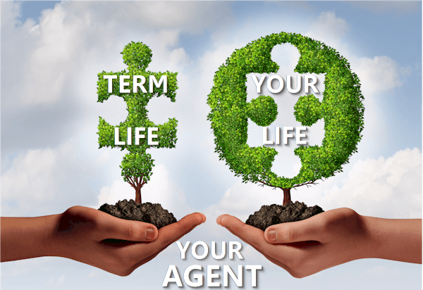 online life insurance help with agent